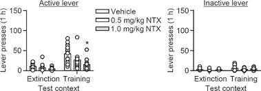 Both look fun and the girls all boast high the most important thing is scholarship and it seems delta gamma places a lot more emphasis on it than kkg. Role Of Mu But Not Delta Or Kappa Opioid Receptors In Context Induced Reinstatement Of Oxycodone Seeking Bossert 2019 European Journal Of Neuroscience Wiley Online Library