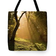 The epic poem from which the film is drawn should, of course, be required reading for anyone who wants to fully appreciate the true scope and rhythm of those times and the importance of the principals and the relationships between them. Sunlight Streaming Through Trees And Tote Bag For Sale By Troy Klebey