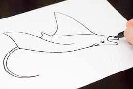 How To Draw A Manta Ray Art For Kids Hub Drawing For Kids Manta Ray Drawings