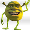 We're your one stop shop for all memes from shrek! Https Encrypted Tbn0 Gstatic Com Images Q Tbn And9gcttd30ikh6kscamnnn4hherd 51kao0e0sfylkbtx Fvrne Mvs Usqp Cau