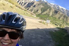 Fundraiser for Lynn Stevens by Rae Heller : Heal Cameron's Beautiful Brain