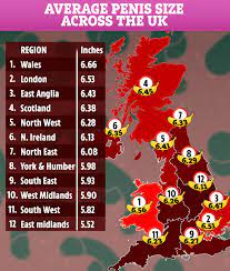 What you REALLY need to know about penis size - from 'growers and showers'  to which Brits are the most well endowed | The Sun