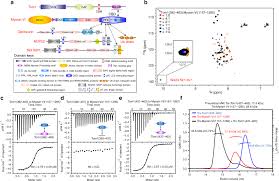 Proteins | Boundless Anatomy And Physiology | Study Guides