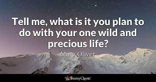 Mary Oliver Tell Me What Is It You Plan To Do With