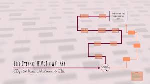 Life Cycle Of Hiv Flow Chart By Madonna B On Prezi