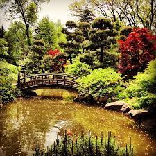 Pin On Anderson Japanese Gardens Rockford Illinois