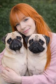 Dream of owning pugs comes true