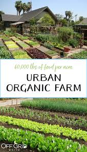 60 000lbs Of Organic Food Per Acre Off Grid World In 2020 Organic Vegetable Garden Organic Gardening Tips Organic Gardening Books