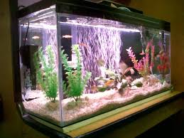 Menjual bak kolam ikan fiberglass frp surabaya.dapat digunakan untuk : Komunitas Ikan Hias Mupih Club Twitter