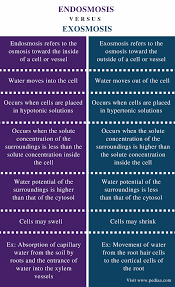 Difference Between Endosmosis And Exosmosis Comparison Summary Study Biology Biology Lessons Medical School Studying