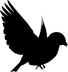 Usaha sampingan ternak lovebird lengkap dengan analisa perhitungan biaya. Svg Siluet Burung Imej Ikon Svg Percuma Svg Silh