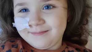 Fundraiser by Aalayah Stewart : Aalayahs final journey