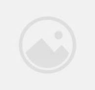 Avanti Polar Lipids DSG-PEG 2000 | 308805-39-2 | 1 g