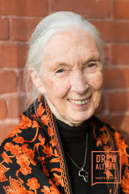 An Intimate Evening Celebrating Dr. Jane Goodall at Walt Disney Family  Museum