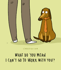 Lingvistov Com Illustrations Doodles Joke Humor Cartoon Cute Funny Comics Greeting Car Dog Quotes Funny Funny Dog Memes Funny Cats And Dogs