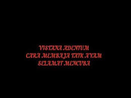 Baja = pupuk di kebun saya ada 11 varieti durian: Cara Penggunaan Baja Taik Ayam Youtube