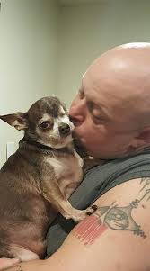 Caring for a dog with partial vision at Frosted Faces Foundation