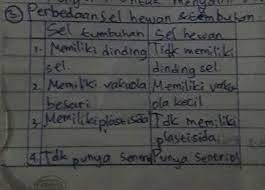 Sel tumbuhan dan fungsinya beserta gambar organel organel sel. Sebutkan 4 Perbedaan Sel Hewan Dan Sel Tumbuhan Brainly Co Id