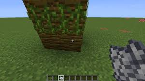 Minecraft Java Edition - Dark Oak Trees Are Not Growing Even Though All  Requirements Are Met - Arqade