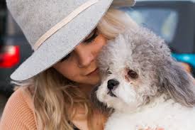 David Hormell, Author at Talisman