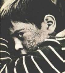 Beim seveso unfall waren bei den 8 tot geborenen kindern durchschnittlich im körper eine aufnahme von 700 ng/kg nachweisbar. Seveso Apres Le Nuage De Dioxine Le 10 Juillet 1976 Les Fumees Restent Opaques Rebellyon Info