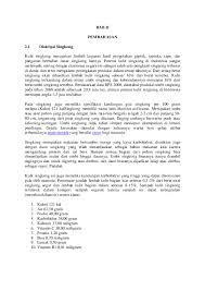 Berdasarkan definisi keripik tersebut, keripik singkong bisa disebut sebagai panganan yang terbuat dari singkong yang diiris tipis. Doc Kulit Singkong Romulus Waluyo Academia Edu