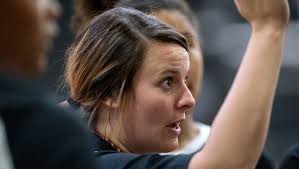 DeWitt vs. Waverly volleyball