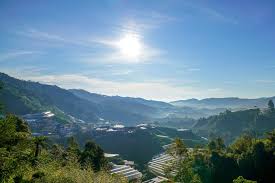Cameron highlands, in its own natural self, is a perfect getaway especially if you are one who hates the heat and sun. 6 Resort Di Cameron Highland 2021 Murah Terbaik Untuk Bajet Keluarga