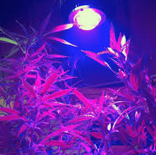 1235 00 Starlite Helios Gr 600w 600 Watts Led Grow Lights Depot Led Grow Lights Grow Lights Lights