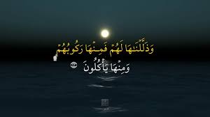 Surat yasin dan terjemah indonesia. Surah Yaa Siin Ayat 73 Qs 36 73 Tafsir Alquran Surah Nomor 36 Ayat 73