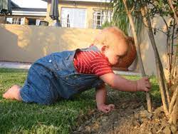 We did not find results for: Make Garden Safe For Toddlers Diy Lifestyle