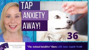 EFT Help For Your Anxiety About Your Pet