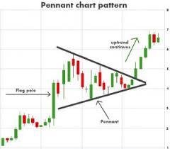 flag and pennant rookie trader trading ideas charts