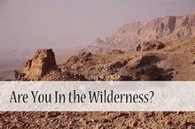 Image result for images The Wilderness Teaches Us
