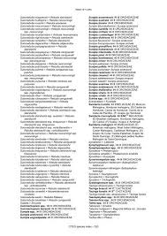 Image result for Stolzia cupuligera