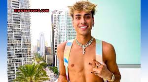 His impressive earnings come from the sales of his music, and also from. Darius Dobre Biography Age Height Net Worth 2021 Family