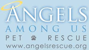 Pet adoption statistics and facts below can help you learn about the state of the animals we like to take on as companions. Angels Among Us Pet Rescue Angels Among Us Pet Rescue Inc Is A 501 C 3 Non Profit Volunteer Based Organization Dedicated To Rescuing Dogs And Cats From High Kill Shelters In North Georgia We Operate
