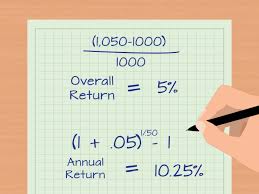The current value of the item. Growth Stock Mutual Fund Rate Of Return Calculator Formula Dia