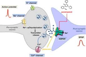 Image result for Perampanel