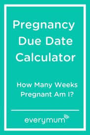 Pin On My Due Date Calculator