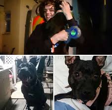 See more ideas about pets, prayers, losing a dog. 50 Pics Showing Missing Dogs Returning To Their Homes That Might Get You Teary Eyed Bored Panda