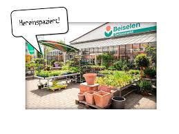 Garden (outdoor area containing one or more types of plants, usually plants grown for food or ornamental purposes) orchard (garden or an area of land. Beiselen Der Gartenmarkt In Ulm Blumen Pflanzen Erde Topfe