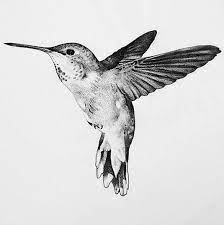 Arttattoo Blacktattoo Inspirationaltattoos Tattooideas In 2020 Hummingbird Tattoo Birds Tattoo Bird Drawings