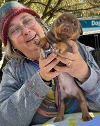 Dogwood Animal Rescue Project