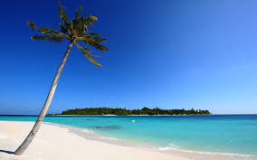 Download hd beach wallpapers best collection. Best 40 Beach Backgrounds On Hipwallpaper Beautiful Beach Wallpaper Beach Wallpaper And Amazing Beach Wallpapers