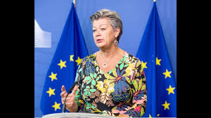 Bedrägerier på nätet, droghandel, vapensmuggling, våldsamma uppgörelser, mord. Interview Commissioner Ylva Johansson On Lithuanian Border Situation Youtube