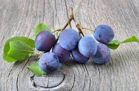 Plant a blue damson plum tree in your home. Langley Bullace Damson Care Growing Langley Bullace Damson Trees