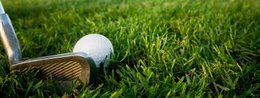 Mshsaa fall sb state tournament. Spring Golf Tournament Springfield Contractors Association