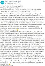 For this reason it's best to avoid having himalayan salt lamps in your home, or place them well out of your cat's reach. Vets Issue Urgent Warning After Cat Is Nearly Killed From Licking A Himalayan Salt Lamp Daily Mail Online