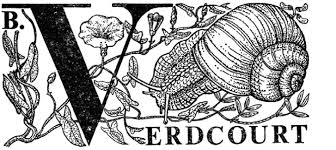 Image result for Dissotis ruandensis